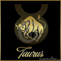 Taurus - Pinterest