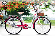 Xe đạp mini Life LYD26 – Tư vấn xe đạp