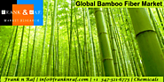 Global Bamboo Fiber Market Size, Trends, and Analysis