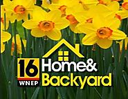 WNEP Home And Backyard Contest (Clue Word Required)