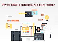 Why should hire a Professional Web Design Agency?