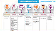 Salesforce Career Path For Beginners | Different Job Roles and Responsibilities