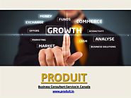 Produit – Best Business Consultant in Canada