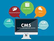 CMS Web Development in Delhi, CMS Web Development Services Delhi