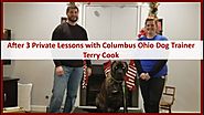 After 3 Private Dog Training Lessons with Samuel, the English Mastiff & Columbus Trainer Terry Cook