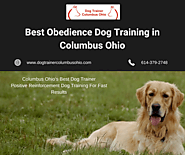 Best Obedience Dog Training in Columbus Ohio – Peter Parkar – Medium