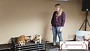 Dog Training Lessons with Columbus Ohio Dog Trainer Terry Cook: Certified Dog Trainer