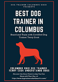 Best Dog Trainer in Columbus | edocr