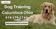 Top Dog Training Centre in Columbus Ohio
