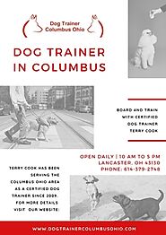 Dog Trainer In Columbus, Ohio