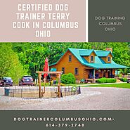 Certified Dog Trainer Terry Cook in Columbus Ohio