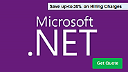 Pointers To Hire An Expert .NET Developer For Your Enterprise