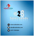 eSalesData B2B Sales Leads Help You Reach The Top Level Executives