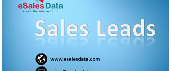 Headline for eSalesData Sales Leads