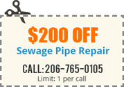 Drain Pro Plumbing Inc : Expert Plumbers and Plumbing & Sewer Services in King County, Pierce County, Snohomish Count...