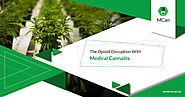 The Opioid Disruption with Medical Cannabis