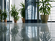 Decor Your Home With Indoor Plants By Plant Hire Melbourne Experts