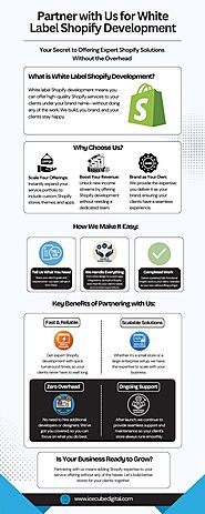 Partner with Us for White Label Shopify Development