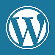 Hire WordPress Developers | WordPress Designer | WordPress Expert for Hire
