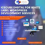 Icecube Digital for White Label WordPress Development Services
