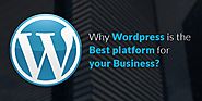 Why you Should Hire Wordpress Developer for your Company