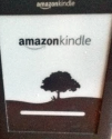 Inside View from Ireland: Kindle
