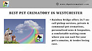Best Pet Crematory in Westchester