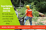 Roswell Tree Cutting Service