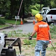 Family Owned Tree Removal in Roswell | Roswell Tree Service