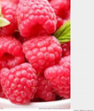 Best Raspberry Ketone Supplement Review