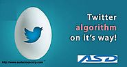 A Twitter algorithm on its way! What businesses need to think about? – digital marketing company