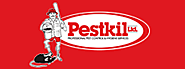Termite Inspection & Elimination in the Cayman Islands - Pestkil