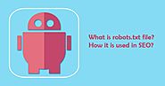 What is robots.txt file? How it is used in SEO?