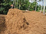 ” For peat sake choose another compost ” | IDogardening4U