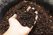 How to make your own seed starter compost