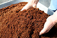 What's best: Multipurpose, Potting, Seed Compost? - Fertile Fibre