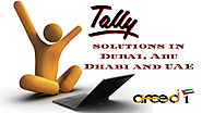 The Need of Tally Customization for the Businesses of Different Niches