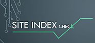 Site Index Check – Anything SEO