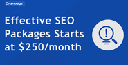 Cromosys introduces effective SEO packages for startup business starting at $250 per month