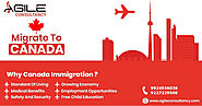 Migrate To CANADA With Agile Consultancy.