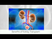 Affordable renal transplant surgery video in India