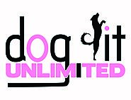 Offering Best and Compassionate Dog Walk Service at an affordable Cost