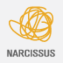 Narcissus Italiano (@NarcissusITA)