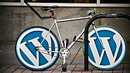 Casselberry SEO Expert & Company | Washeen SEO