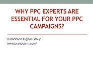 Why Is PPC Crucial?