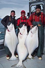 Alaska Travel Adventures with Alaska Halibut Fishing Charter