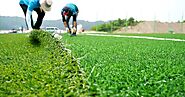 Top Reasons to Invest in Professional Soccer Field Artificial Turf Cleaning Services