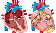 Listing the Common Signs and Symptoms of Heart Problems
