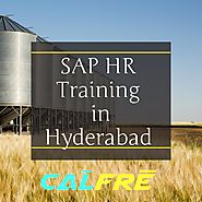 Become Expert in SAP HR Training in Hyderabad@ Get Job Early