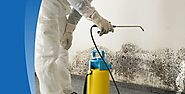 The importance of hiring professional cleaners in Tel Aviv
